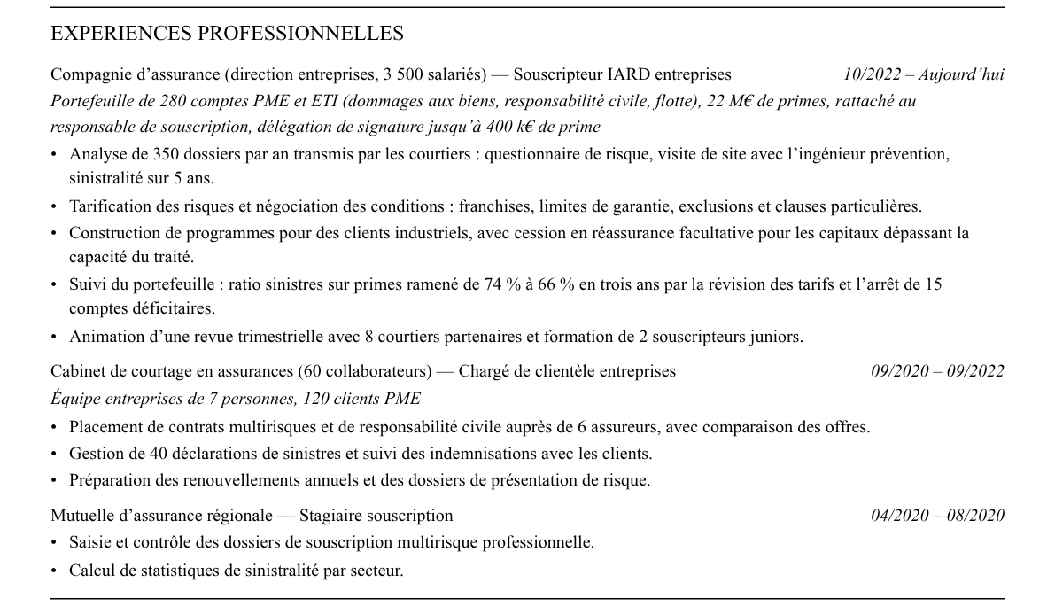 CV souscripteur en assurance : expériences